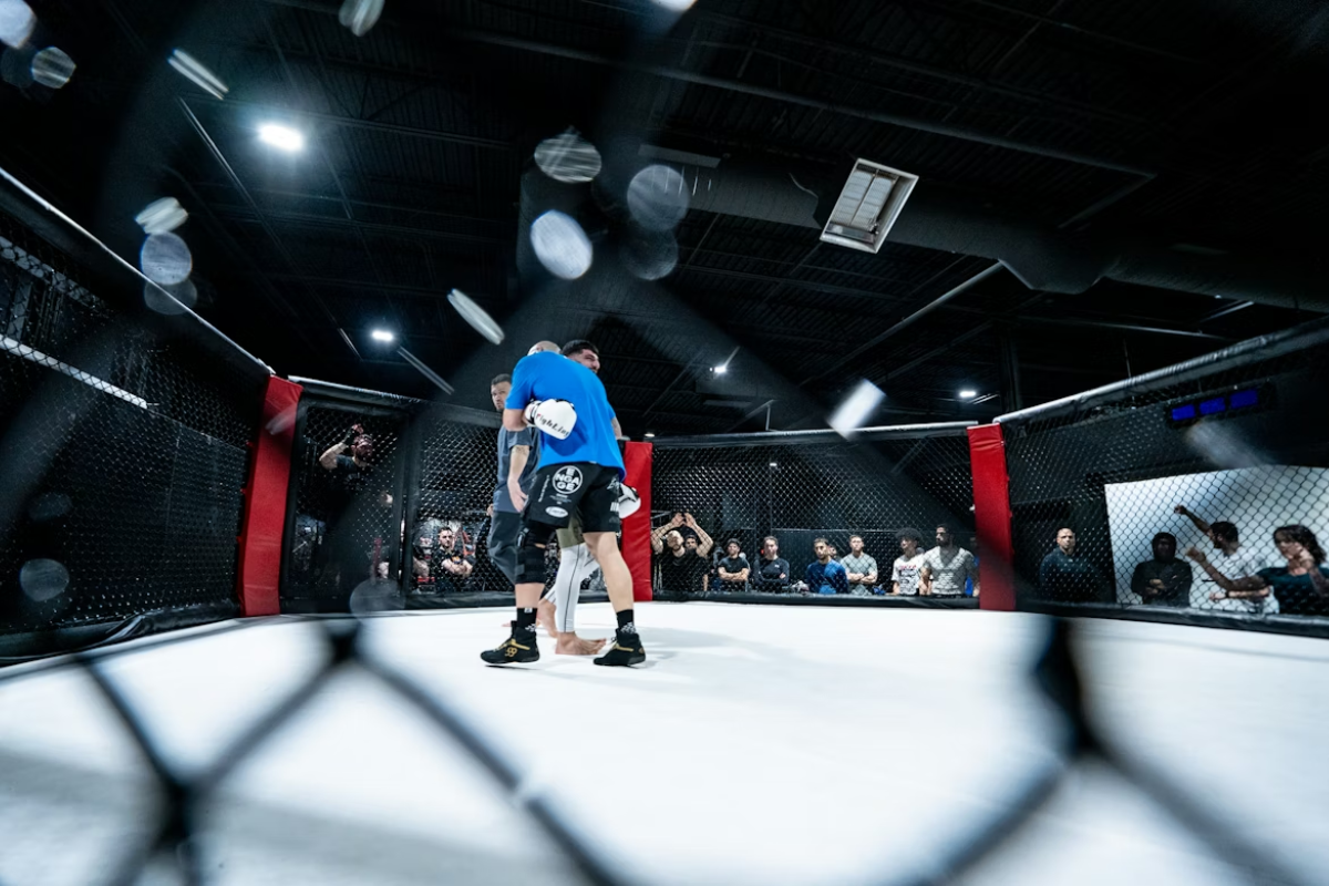 Categorias de Peso no UFC e Seu Impacto nas Apostas.png