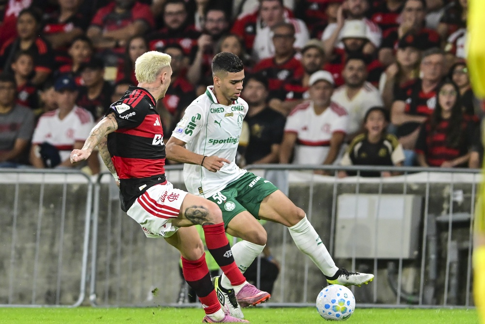 palmeiras-x-flamengo.jpg